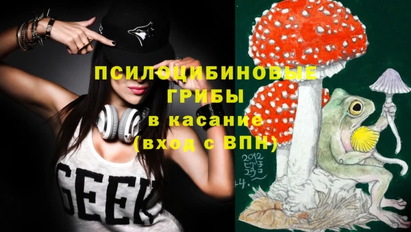apvp Балахна